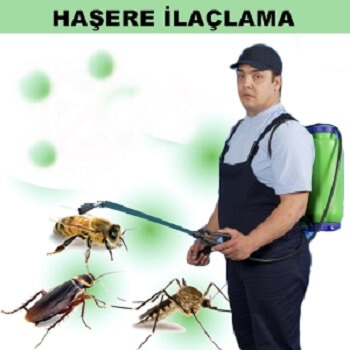Kemaliye Böcek İlaçlama